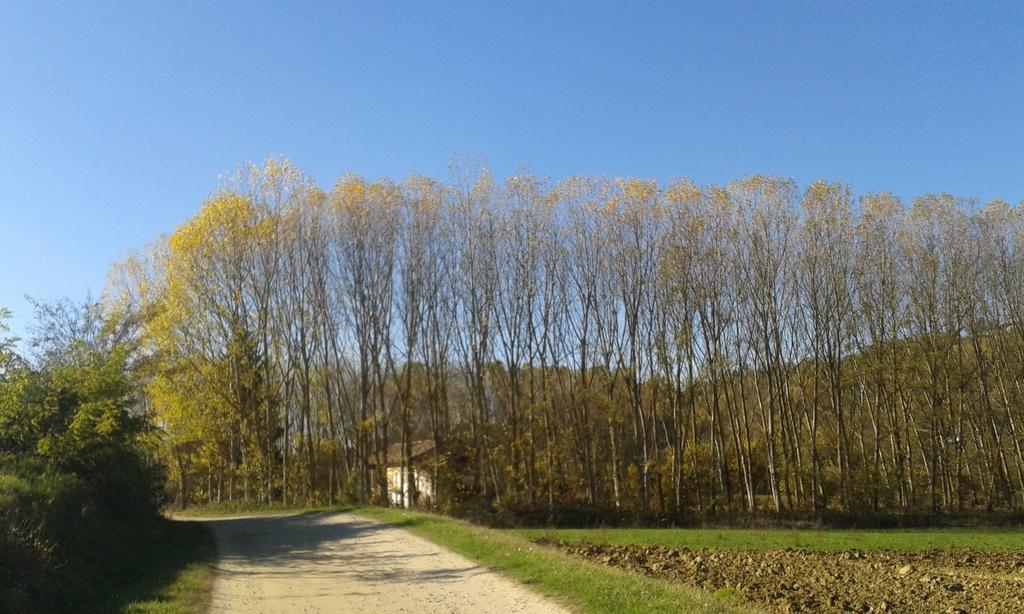 Vista Sul Patrimonio Dell'Unesco Cortiglione المظهر الخارجي الصورة